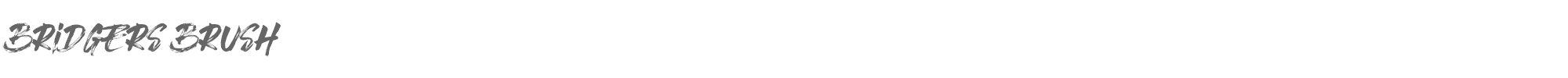 Sample characters Bridgers Brush Font